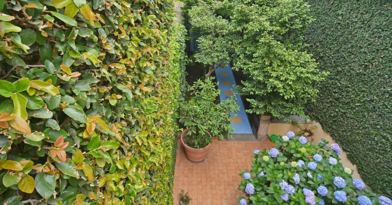 B&B Di Charme Camelie Palazzo Nicotra Riposto Exterior photo